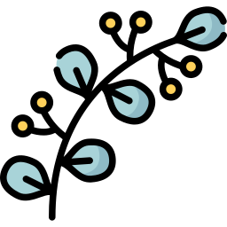 Eukaliptusz illóolaj